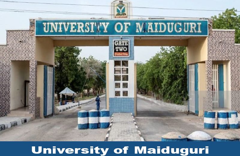 UNIMAID Cut Off Marks 2024 Released