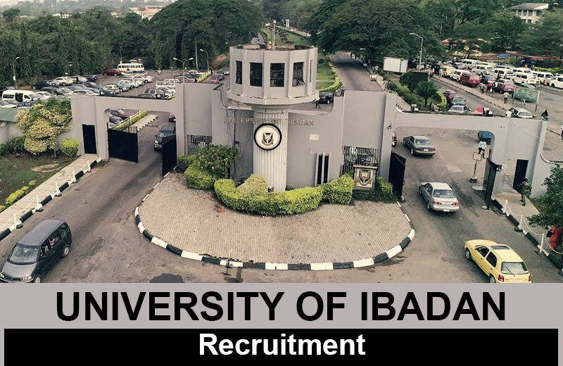 University of Ibadan Recruitment 2023 | Apply Academic & Non Academic Positions