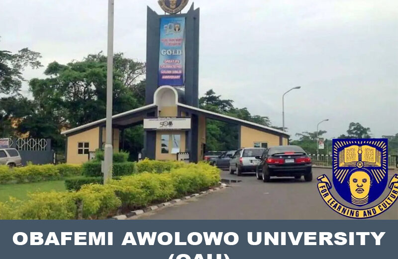 OAU Post UTME Results 2024