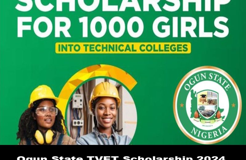 Ogun State TVET Scholarship 2024 For Nigerians | How To Apply