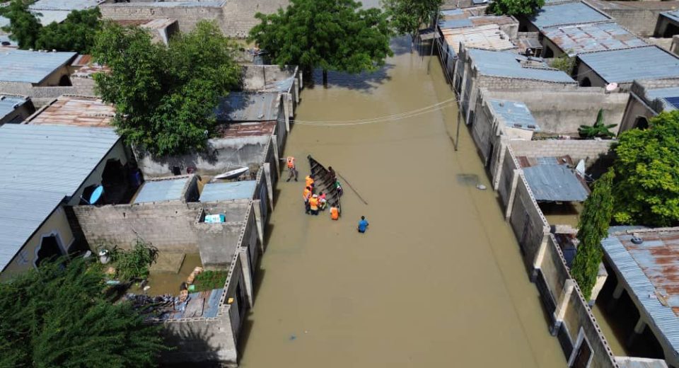 Wild Animals ‘on The Run’, Cemetery Submerged In Borno Flood