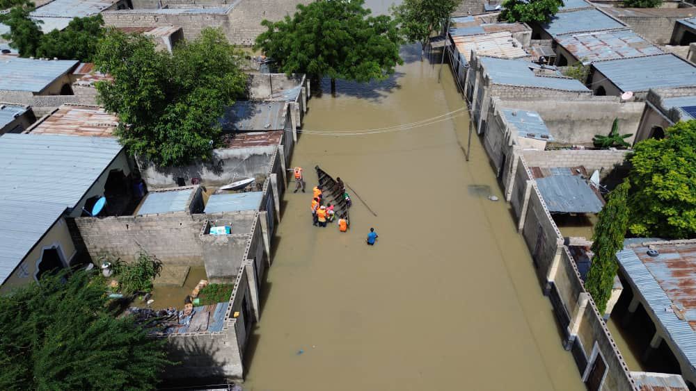 Wild Animals ‘on The Run’, Cemetery Submerged In Borno Flood